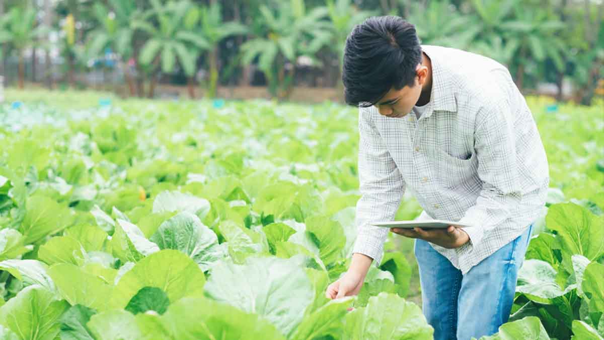 Farmer using new technology in agriculture