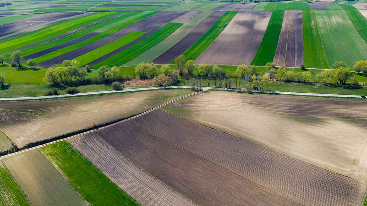 Drone farming is here to help farmers understand what their crops need..