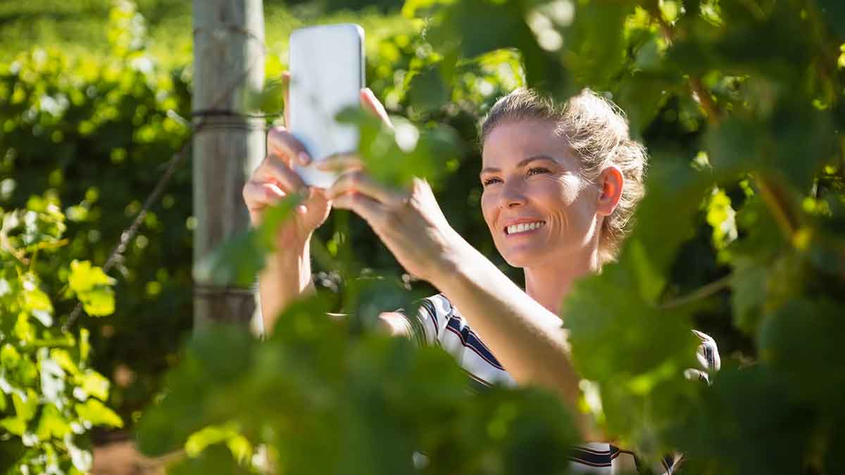 Woman enjoying the benefits of smart vineyard management systems